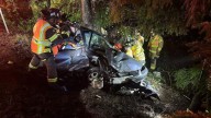 Olympia driver airlifted after swerving to avoid deer on SR 101