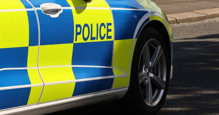 Chainsaw-wielding thug shouted three words out as he chased terrified officer