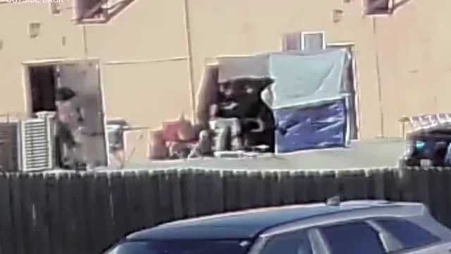 Tattoo artist dead in Orlando SWAT standoff