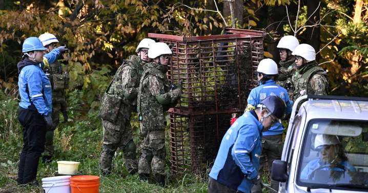 Japan deploys troops in bid to stem surge in deadly bear attacks