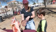 NMSU's Learn-A-Palooza invites families to participate in STEAM+ activities