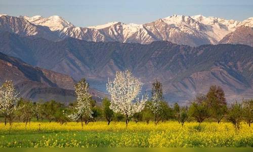 Tourism dept showcases J&K's culture, cuisines and more at 'Bharat Parv' festival in Gujarat