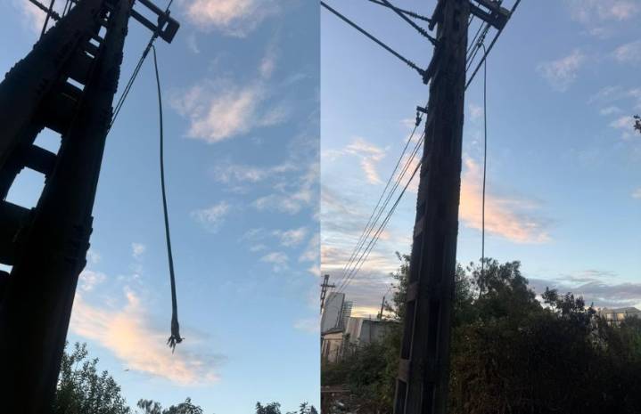 EFE Sur anuncia acciones legales tras nuevo episodio de robo de cables que afectó a Biotren