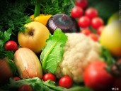 Red Bank Pantry Sees Surge in Families as SNAP Delays Continue