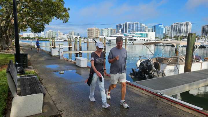 What will the Sarasota weather be over Thanksgiving? See the forecast