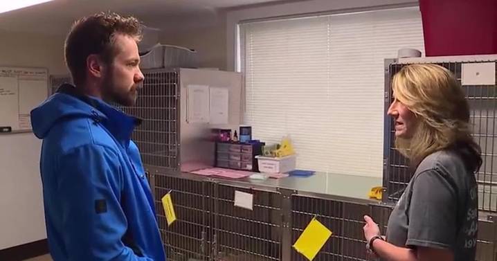 4-year-old boy raises $2,000 for homeless dogs through can collecting project