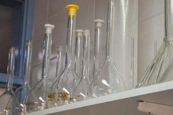 Científicos del CONICET descubren un linaje genético propio de Argentina con más de 8.500 años de historia