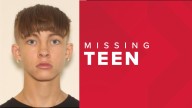 Cleveland police ask for public's help to find missing 17