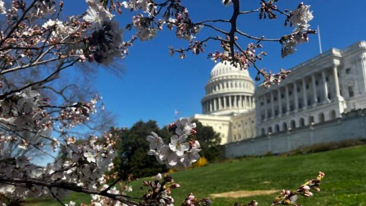 Here’s how Missouri’s Congressional delegation voted to reopen federal government