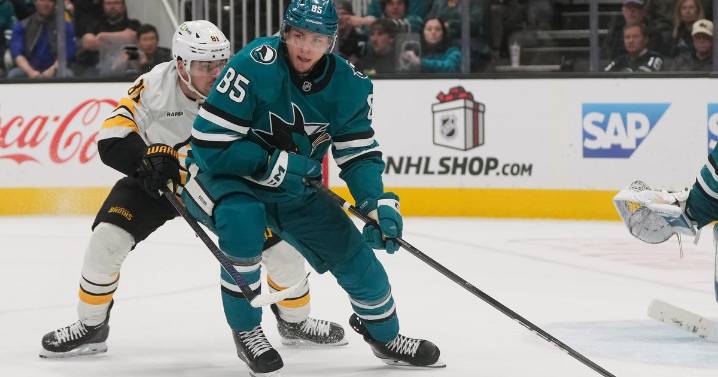 Celebrini notches 14th goal, Sharks beat Bruins 3