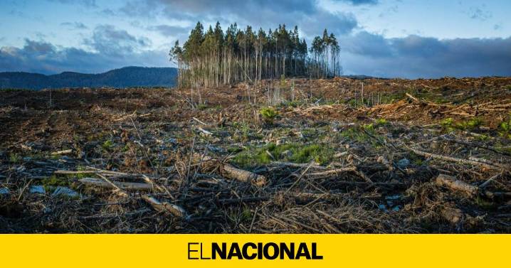 3.600 millones de personas en riesgo: la COP30 busca un plan desesperado para adaptarse al cambio climático