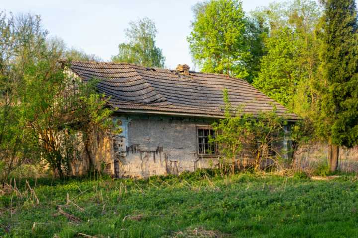 Una familia quiso vivir solo con paneles solares, agua de pozo y un huerto. Hasta que Italia le quitó a sus hijos