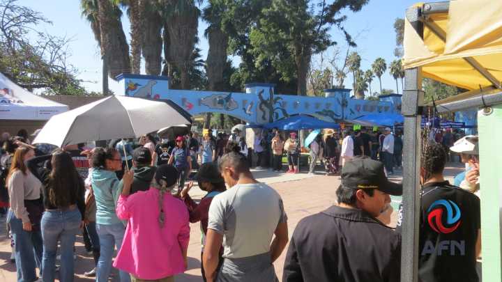 Entregó el SIMPATT más de 500 plantas en el Parque Morelos