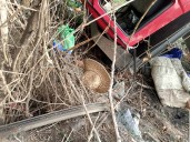 Actualización: accidente de camión deja un fallecido y varios heridos