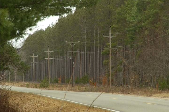 Upper Peninsula lawmakers advocate for natural gas generator exemptions