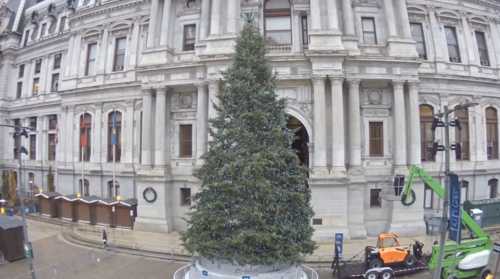 Philadelphia City Hall Tree Camera Live