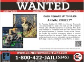 Dogs found abandoned in Flint lake, Crime Stoppers seeks tips