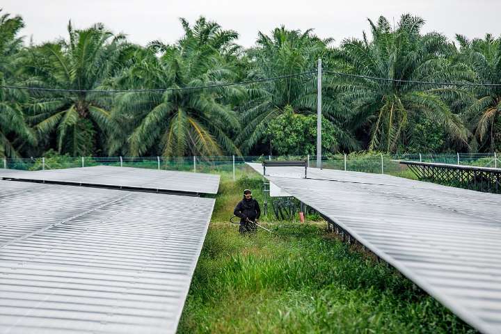 AI Boom Is Turning Malaysia’s Palm Oil Estates Into Data Centres