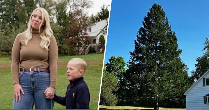 Widow who donated this year's Rockefeller Center Christmas tree says husband 'always talked' about this day