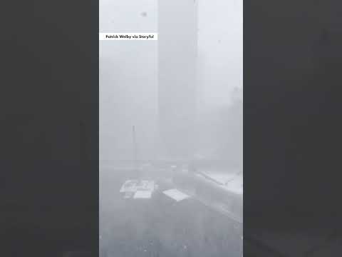 Chicago Disappears in ‘Whiteout’ as First Winter Storm Blankets the City #shorts