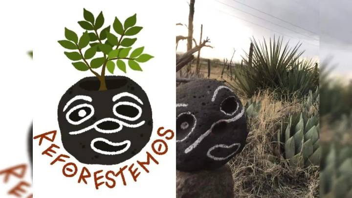 Este sábado, realizará Reforestemos marcha contra los “accesorios”; conoce a qué hora empieza