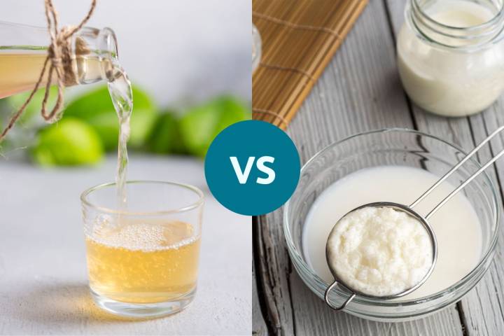 Kefir vs. Kombucha: Which Probiotic Drink Is Better for Your Gut?