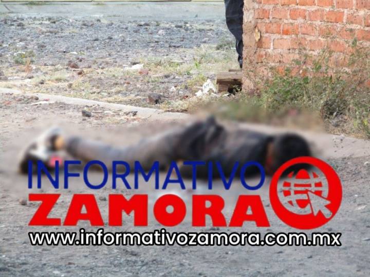Jovencito es asesinado a balazos en la colonia Generalísimo Morelos