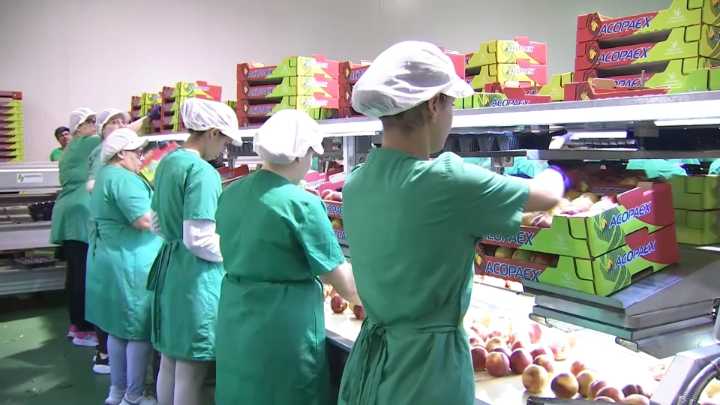 La Seguridad Social gana en Extremadura 1.097 afiliados extranjeros en octubre, hasta los 22.689 trabajadores