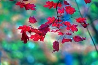 Fire risk grows for central Pa. today as winds pick up