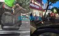Tensión en pleno centro de La Plata: mujer con discapacidad denunció a repartidores de Rappi por agresiones