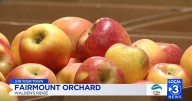 3 IN YOUR TOWN: Last Call for Cider as Fairmount Orchard preps for close