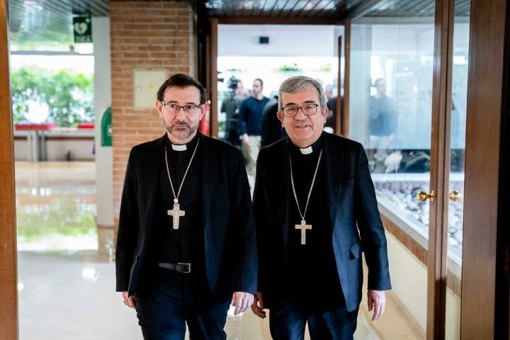 Nueve obispos españoles visitarán mañana al Papa