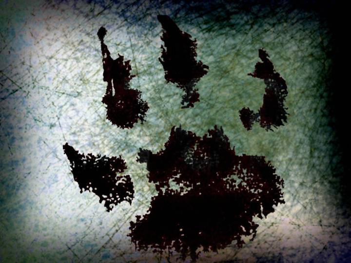 Woman accused of neglecting puppy to the point it was paralyzed