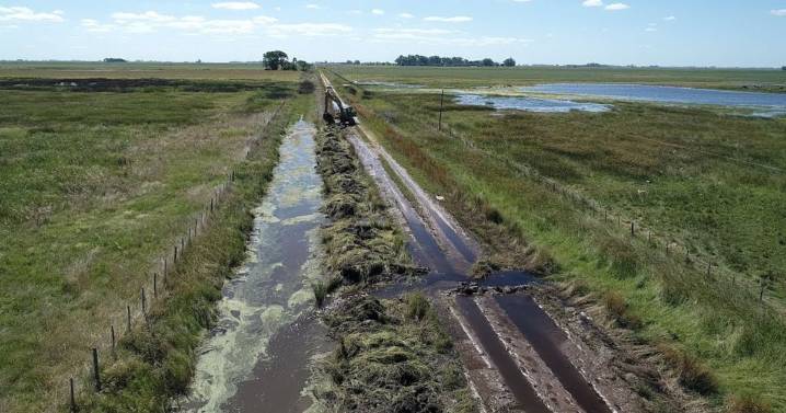 Por los daños en la producción, el Gobierno extendió la emergencia agropecuaria en Río Negro, Buenos Aires y Entre Ríos