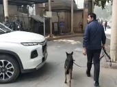 Delhi court premises evacuated after bomb threat, email declared as hoax