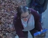 Morgan Geyser missing after leaving group home, cutting off monitoring bracelet