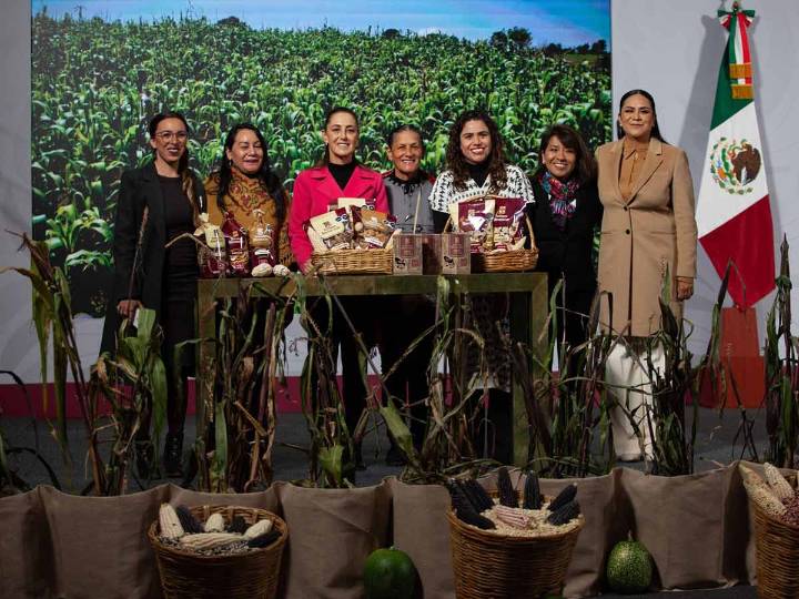 Gobierno federal presenta Plan Nacional Maíz Nativo; arrancará en 2026 en 7 estados