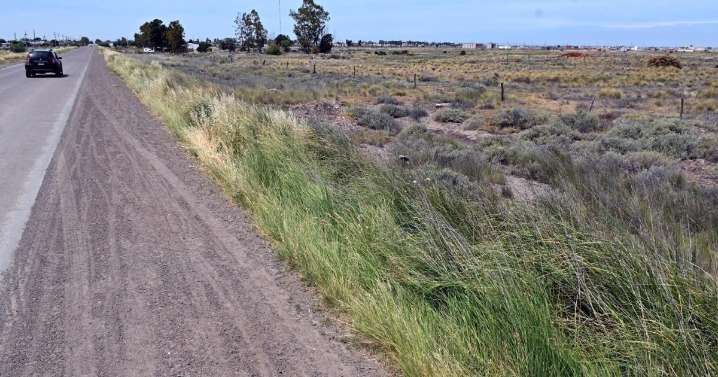 Un proyecto gubernamental prevé que el Idevi realice un loteo en Viedma y ceda terrenos a sus empleados