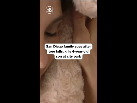 San Diego family sues after tree falls, kills 4