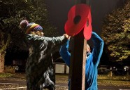 Disbelief after Remembrance Day poppies put up by Medway Scout Group in City Way, Rochester, are stolen