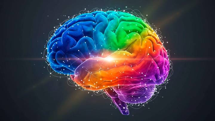 Los dos índices que debes cuidar para tener un cerebro saludable según un estudio científico