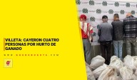 Villeta: cayeron cuatro personas por hurto de ganado