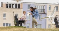 Study shows shouting at seagulls makes them more likely to scram