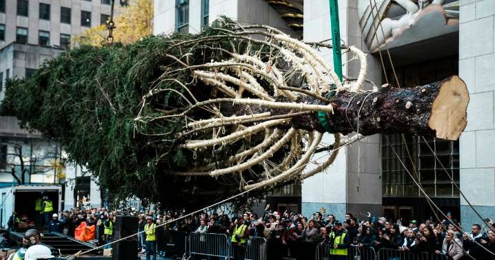 Rockefeller Center Christmas tree arrives in New York City to usher in holidays