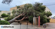 Las fuertes lluvias azotan de nuevo Balears y dejan árboles caídos, parques anegados y coches dañados