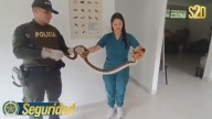 Rescate Oportuno: Policía Nacional Recupera Serpiente Boa Constrictor en Mocoa