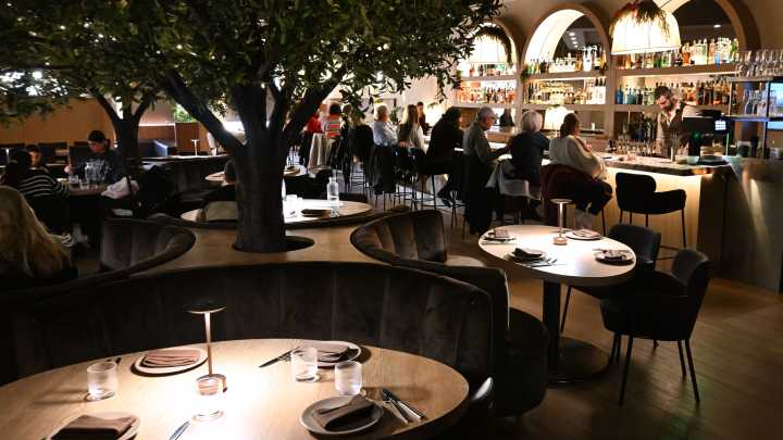 Review: Vive offers warmth and glamour in West…