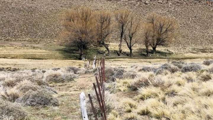 Neuquén pidió a Nación que declare la emergencia agropecuaria por sequía y otorgue beneficios impositivos