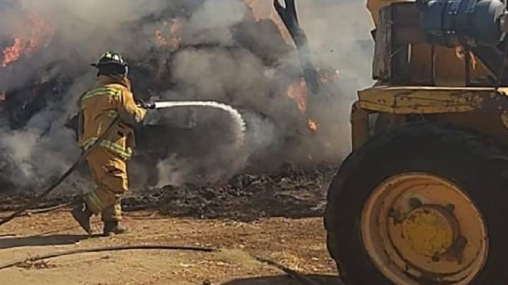 Fuerte incendio consumo 45 toneladas de alfalfa en establo de La Laguna