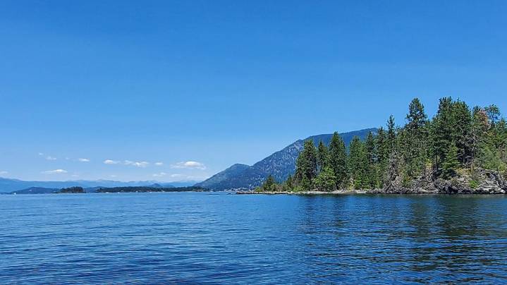 Festival at Sandpoint executive director steps down for health reasons